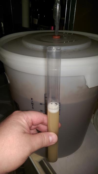 misurare la densità della birra
