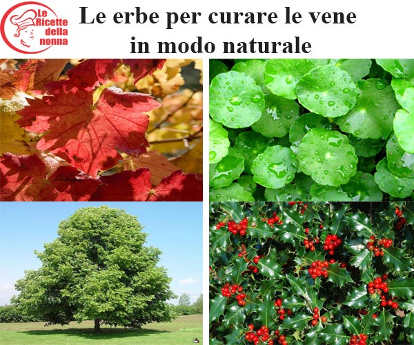 Le erbe per curare le vene in modo naturale